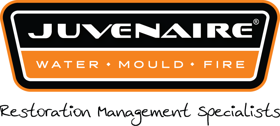 Mould Contamination in Your Business – Should You Be Concerned?