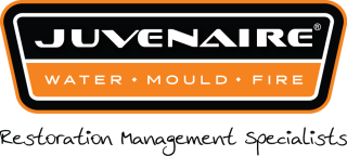 Mould Contamination in Your Business – Should You Be Concerned?